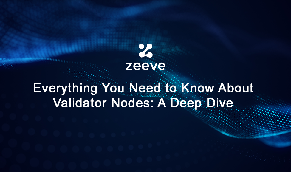 validator nodes guide