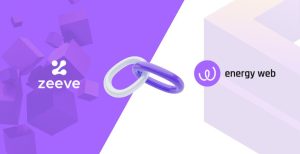 zeeve and energy web